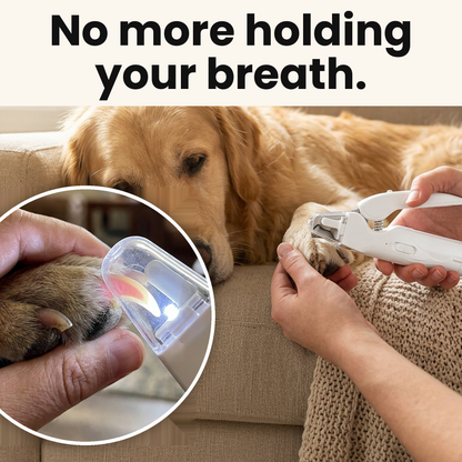 No more holding your breath. Calm golden retriever having a nail trimmed with the LumaClip Pro, close up showing the lit quick inside the nail